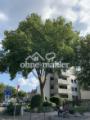 Hausfront Vorderseite