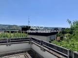 Panoramablick
