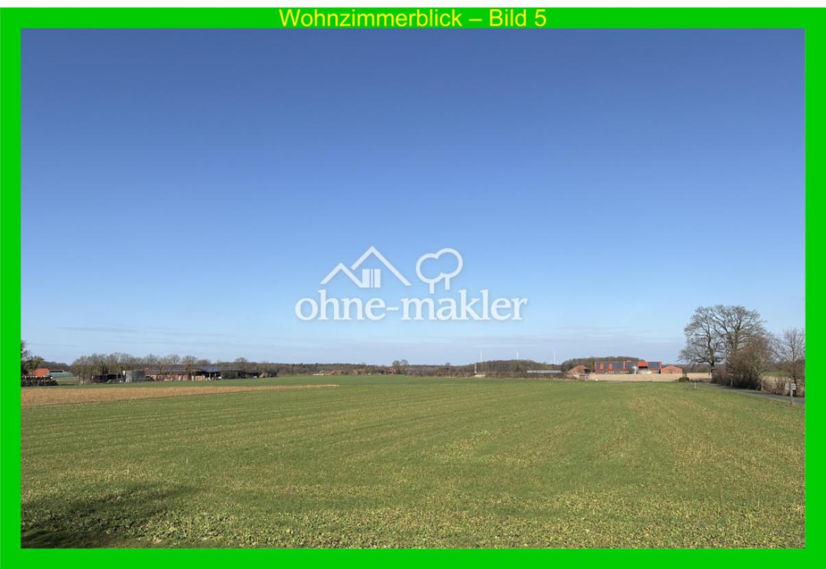 Wohnzimmerblick 5