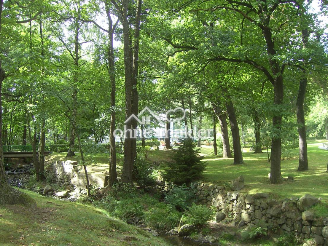 Die RADAU im Kurpark