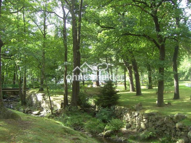 Die RADAU im Kurpark