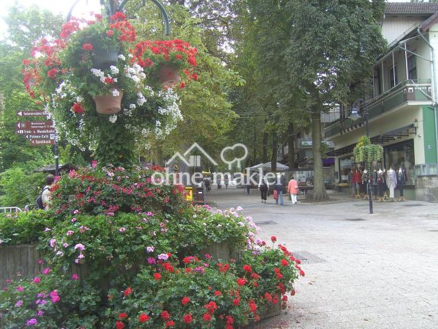 Die Herzog-Wilhelm-Straße