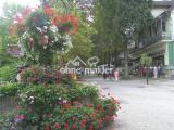 Die Herzog-Wilhelm-Straße