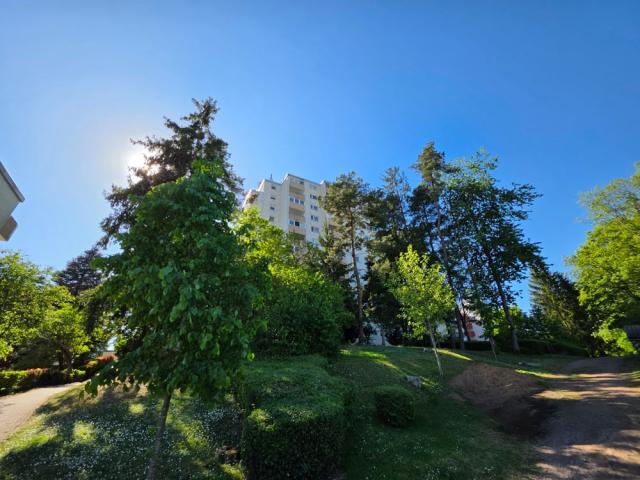 SB-54-Bilder (2)