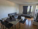 SB-54-Bilder (8)
