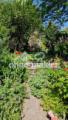 Blick in den Garten