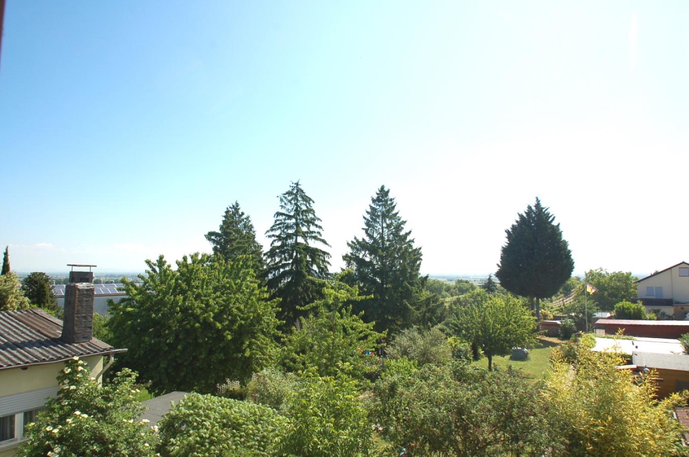 Weitblick
