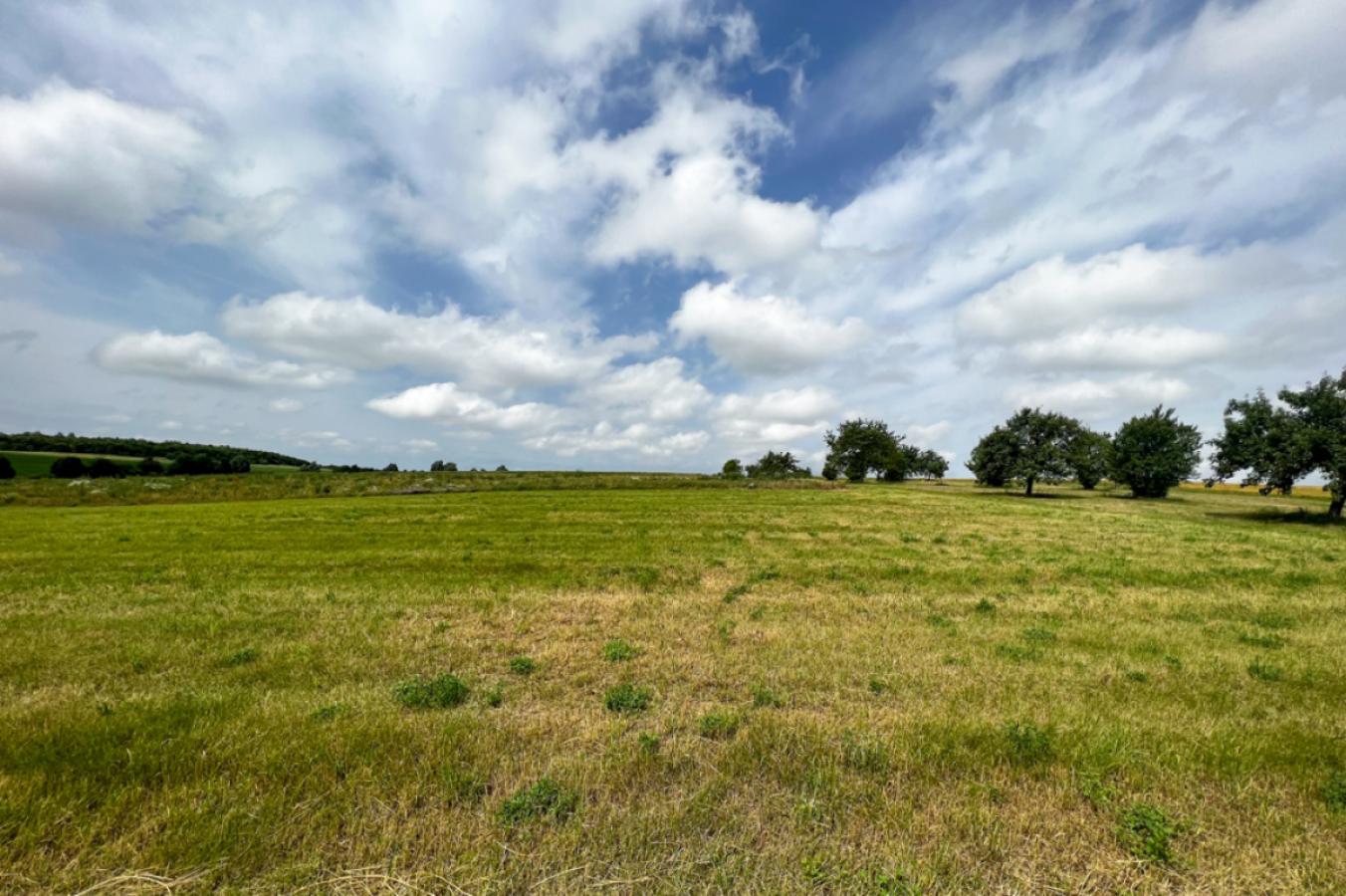 Wiesen und Felder rum um Molsdorf
