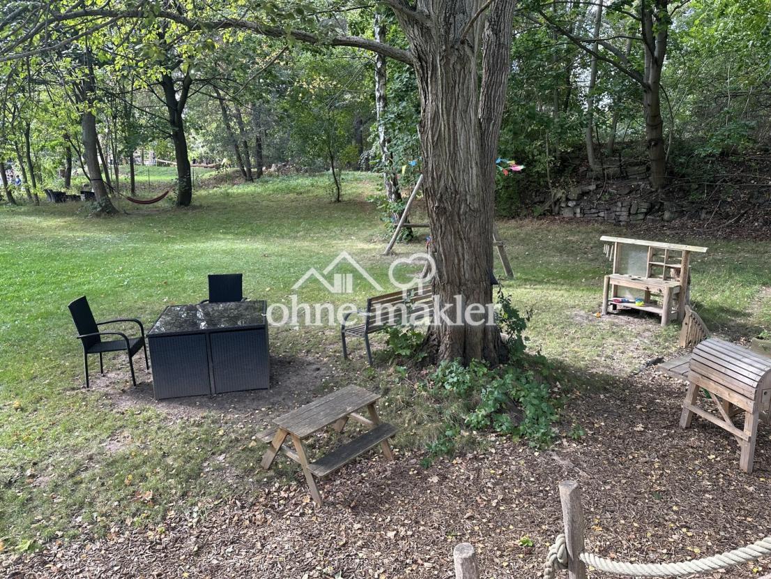 Blick in den Garten 1