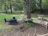 Blick in den Garten 1