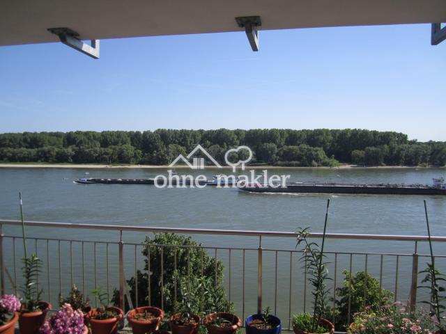Rheinpanorama