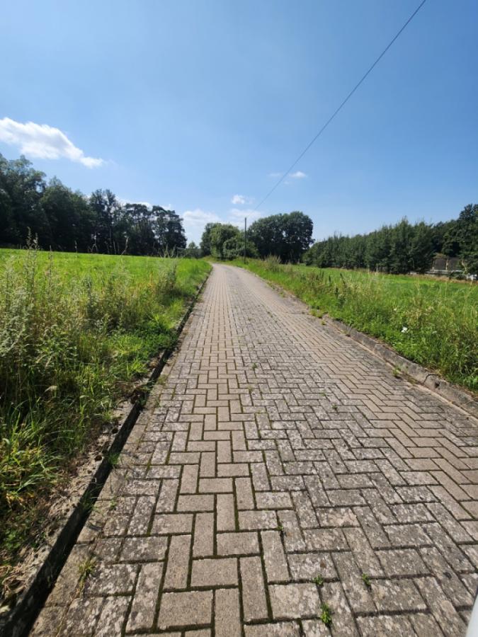 Weg zum Haus