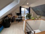 Studio Süden