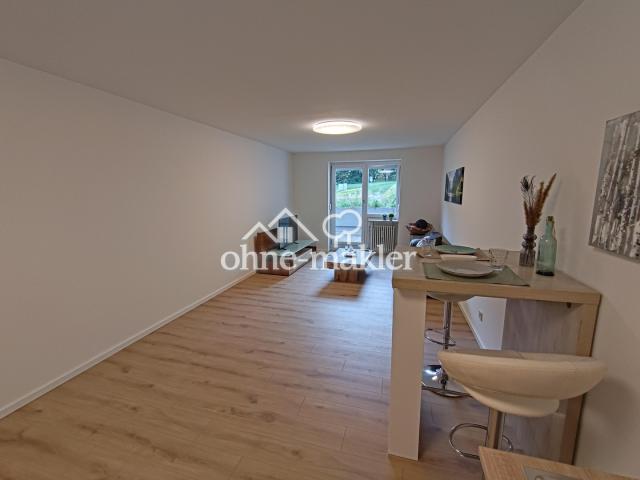 Küche + Wohnzimmer
