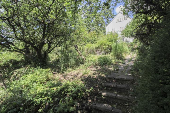 Treppen