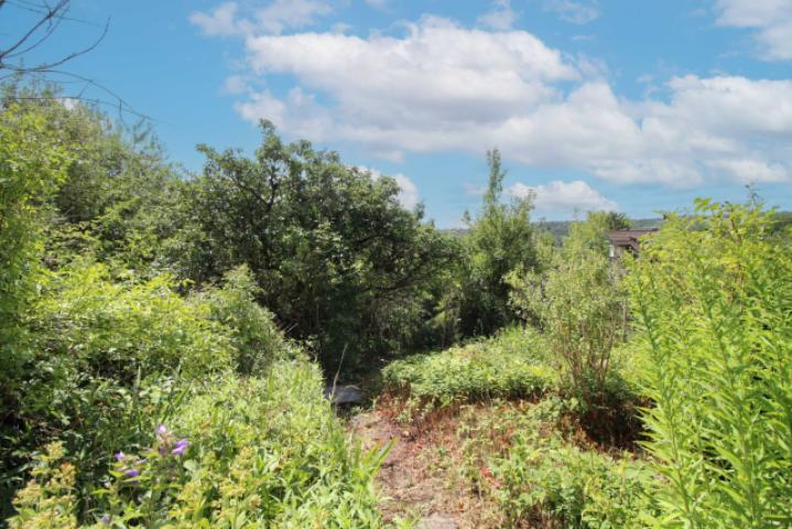 Gartenweg