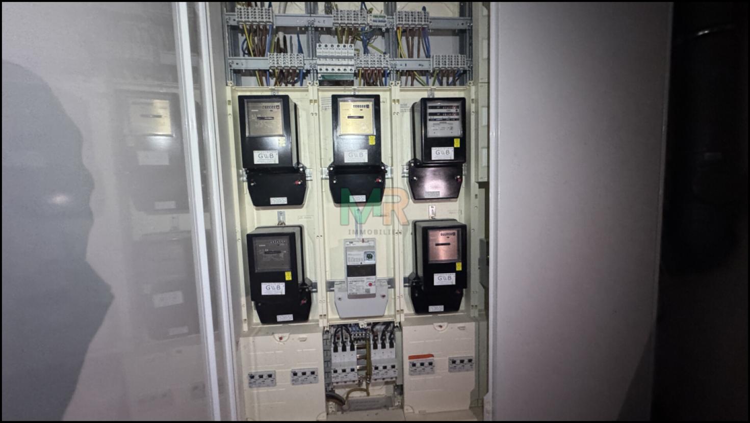 EG, Elektrik, 2
