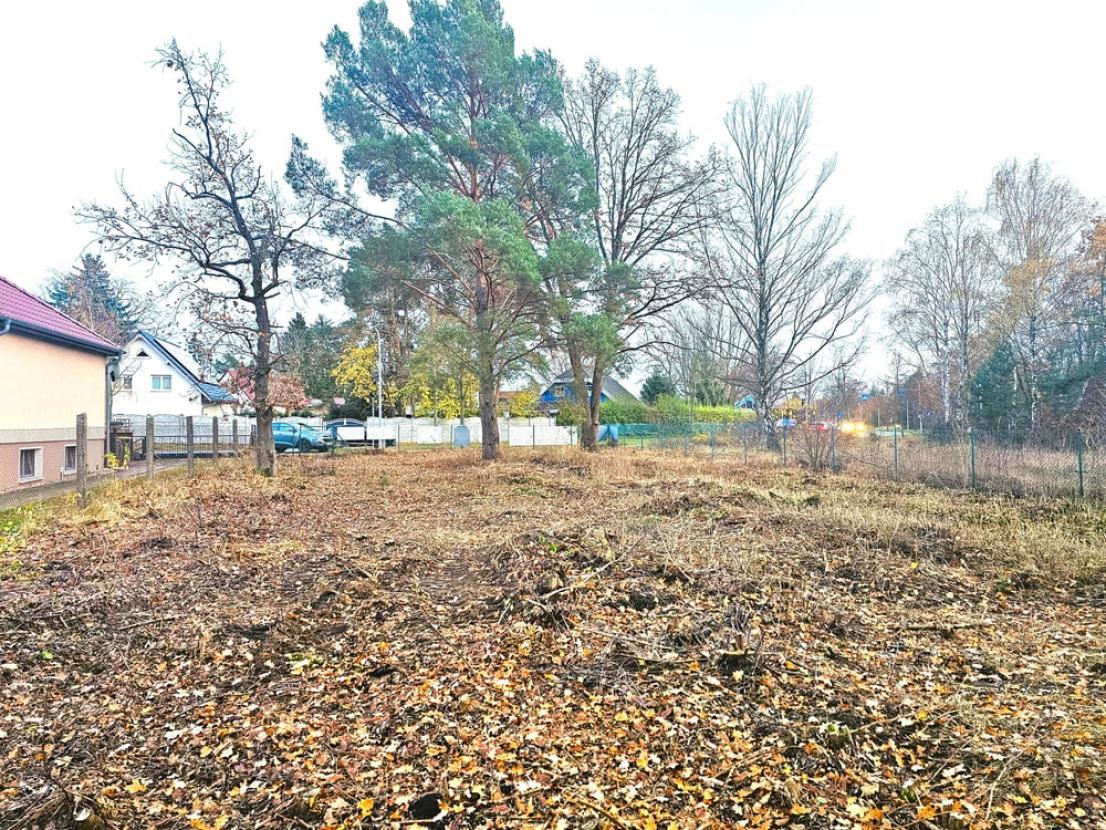 Ansicht zur Straße