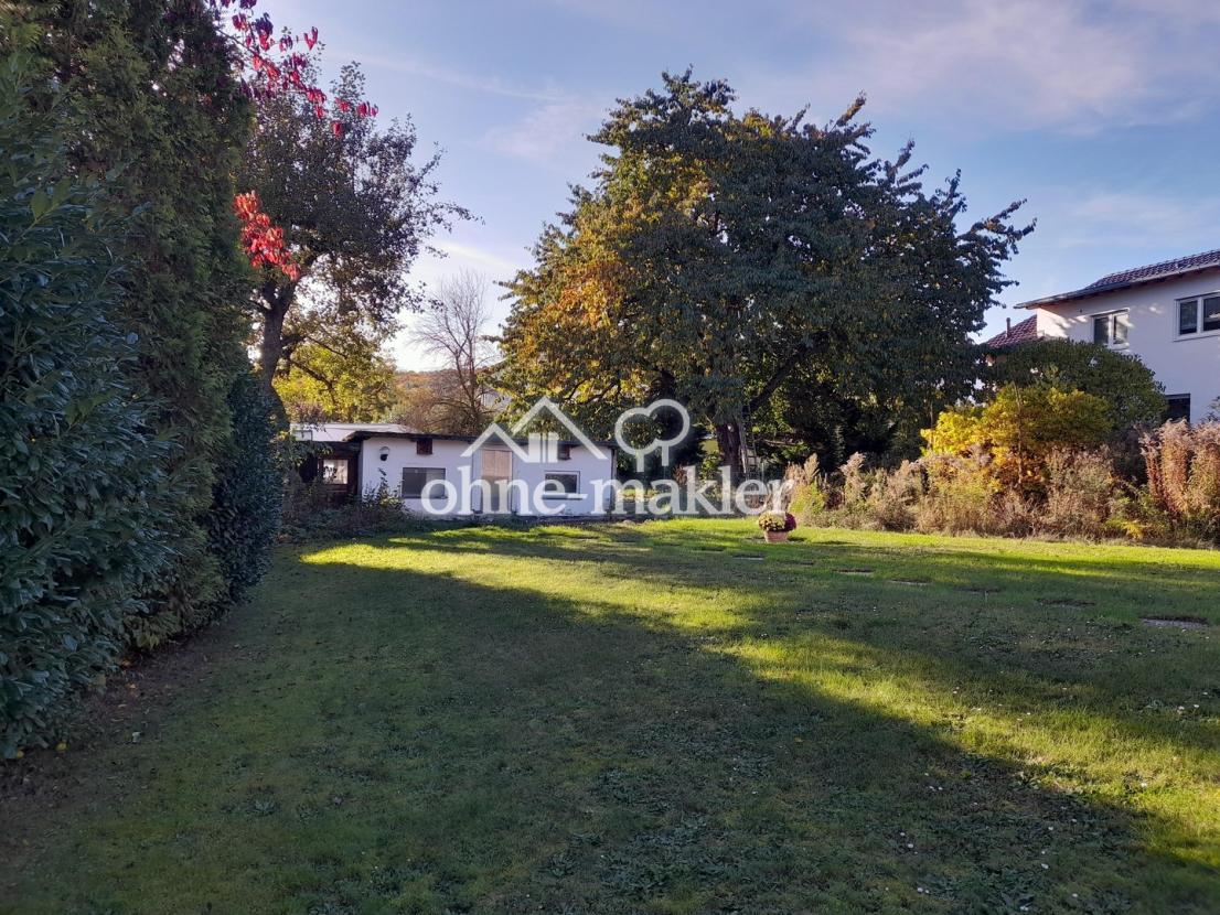 Ehem. Hundezwinger/Kirschbaum