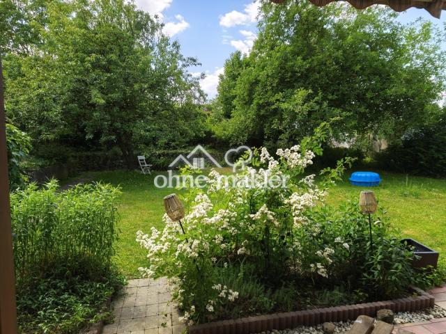 Blick in den Garten