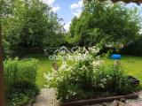 Blick in den Garten
