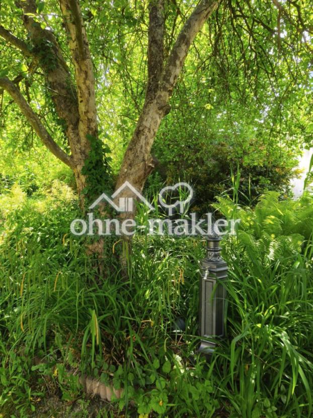 Kleines Naturparadies