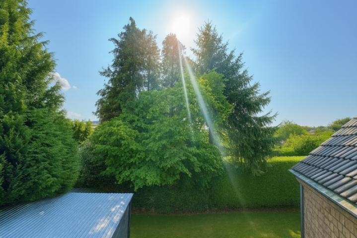 Ausblick vom Balkon