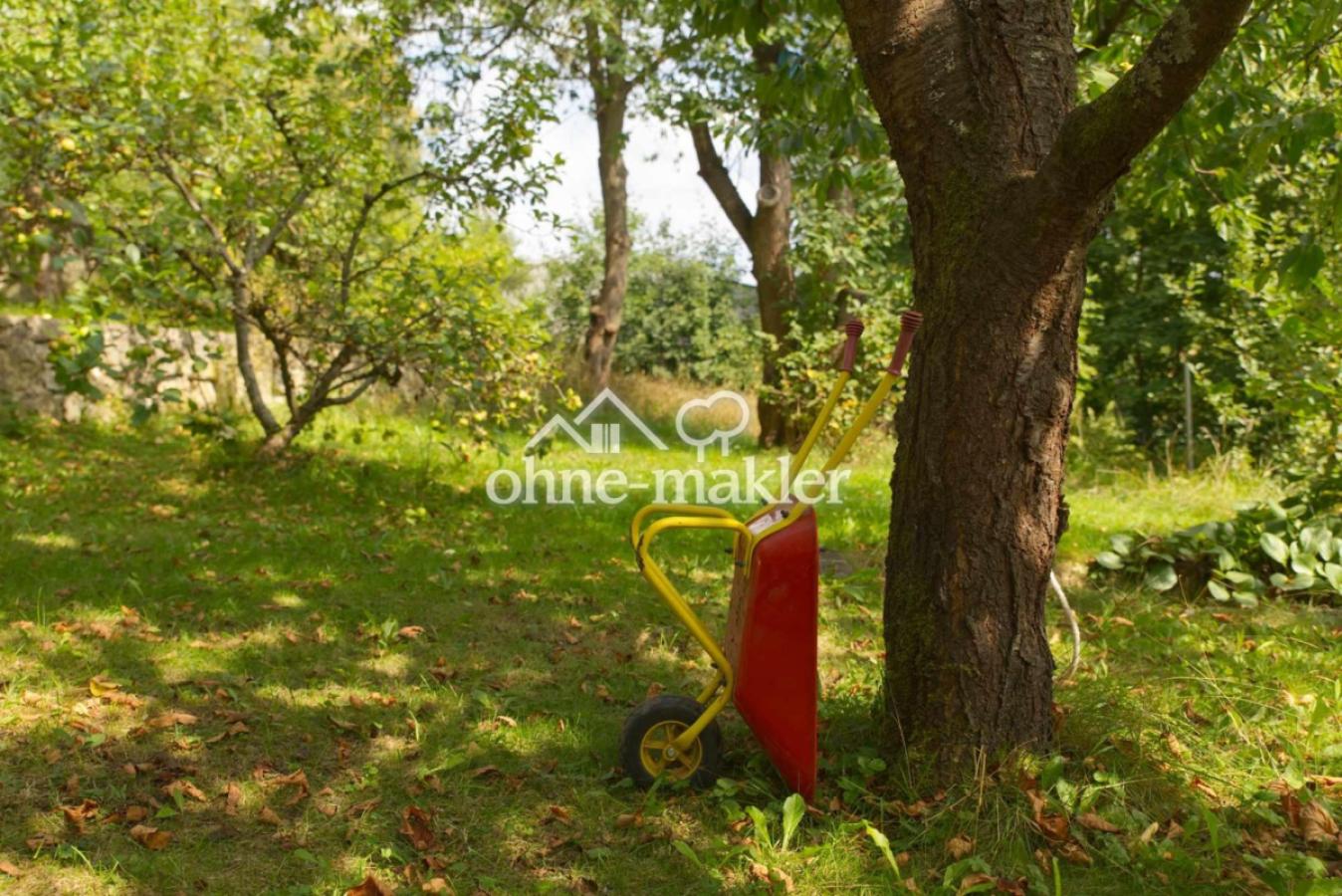 Impressionen Garten