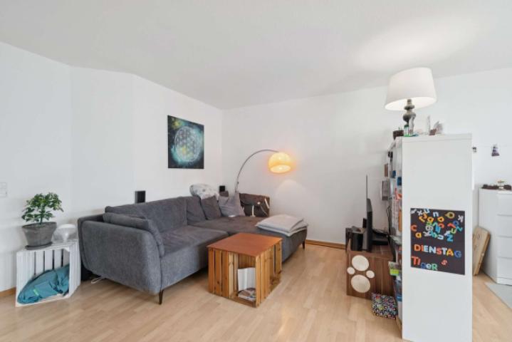 Penthouse Wiesbaden (12)