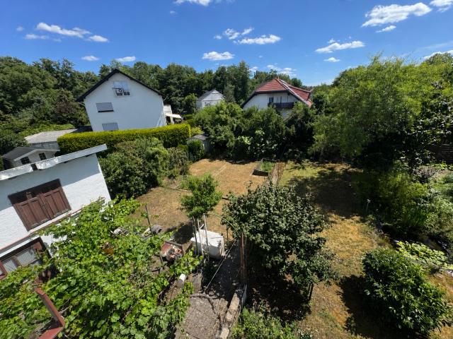 Garten mit Nebengebäude