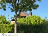 Blick von der Strasse 