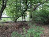 Nordgrenze - Richtung NordOst
