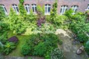 Blick in den Garten