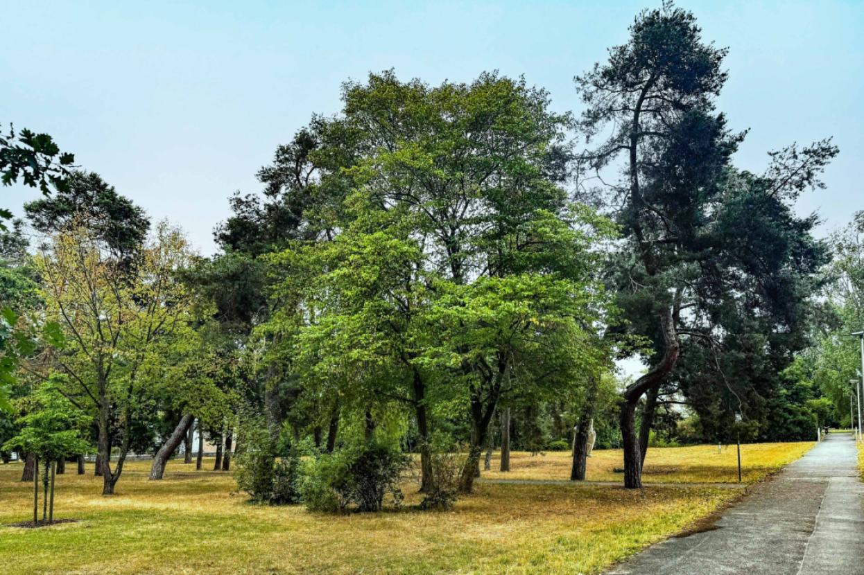 Park