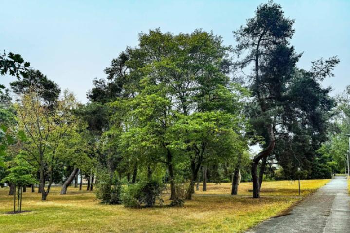 Park