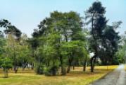 Park
