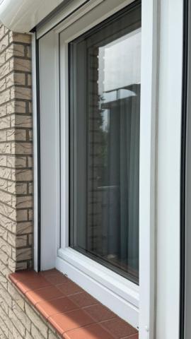 Detail Fenster 