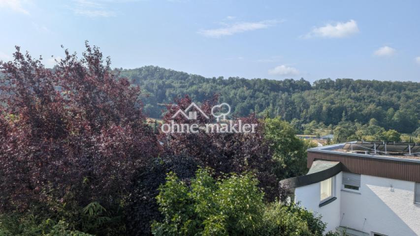 Blick vom Haus