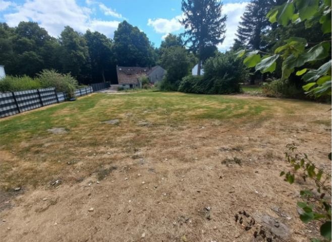 WhatsApp Image 2026-07-24 at 15.46.10(1) - bearbeitet
