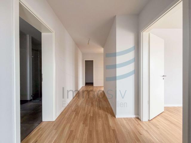 Moderner Flur im Penthouse.jpg