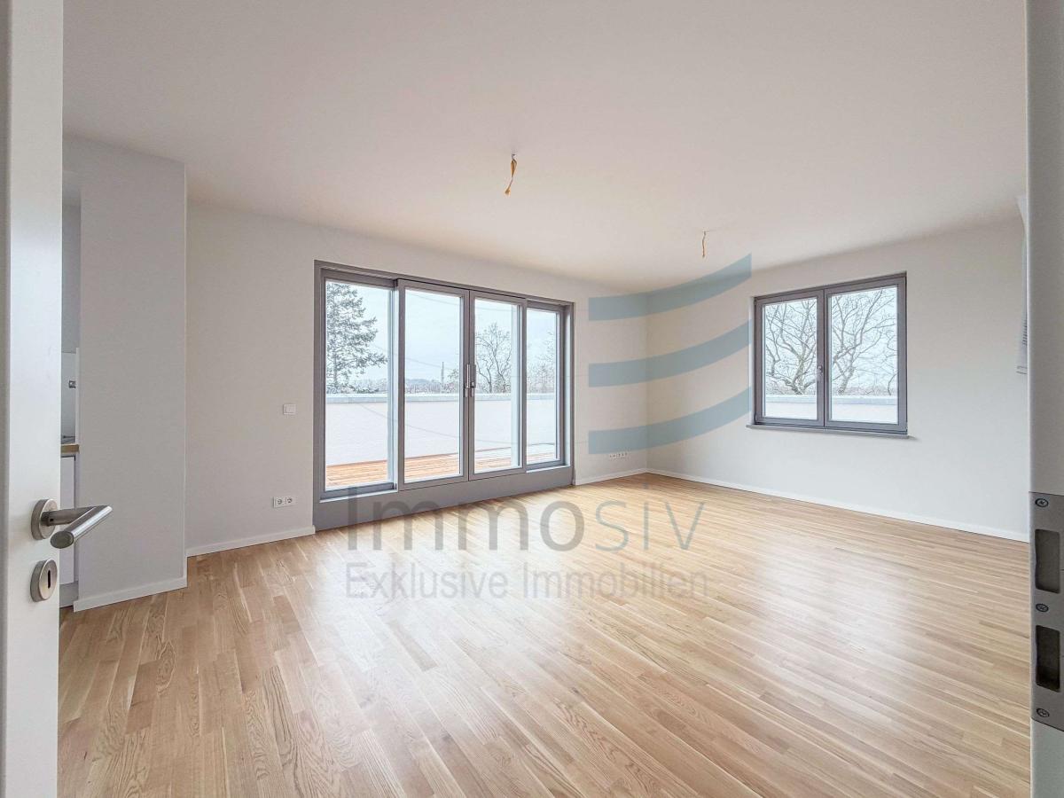 Helles Penthouse mit Terra.jpg