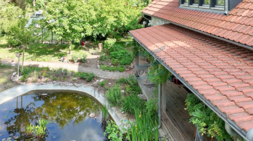 Garten mit Teich
