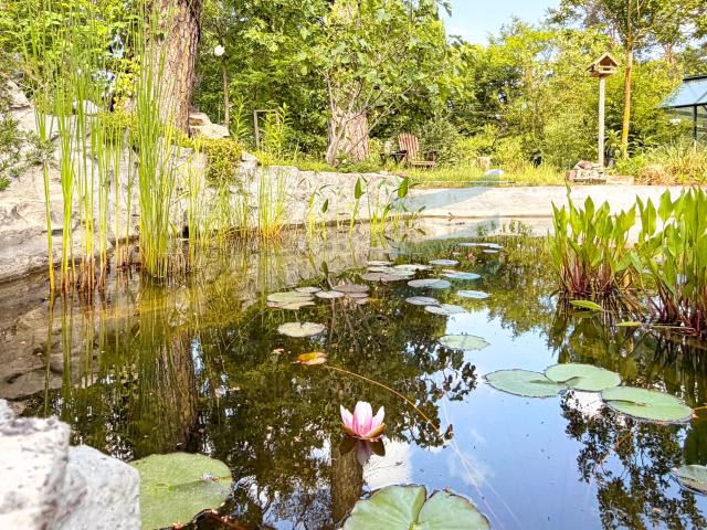 Gartenteich