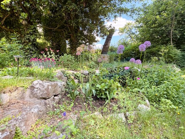 Garten