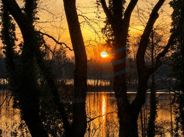 Seeblick