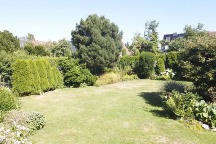 Garten (2)