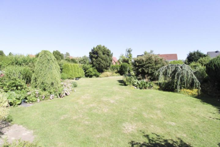 Garten (4)