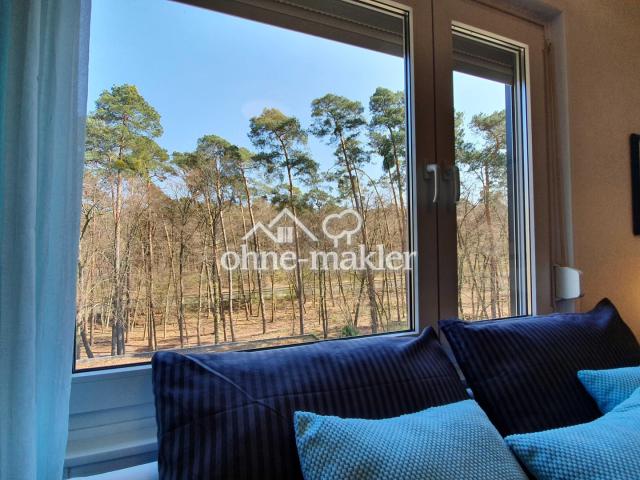 Blick in den Wald