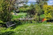 Wiese im Garten