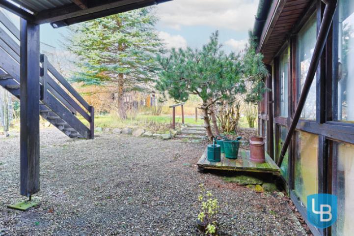 Blick in den Garten 